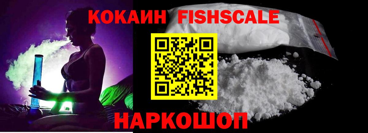  COCAIN Сочи