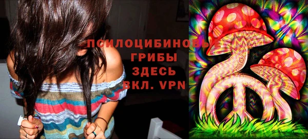 2c-b Алексеевка