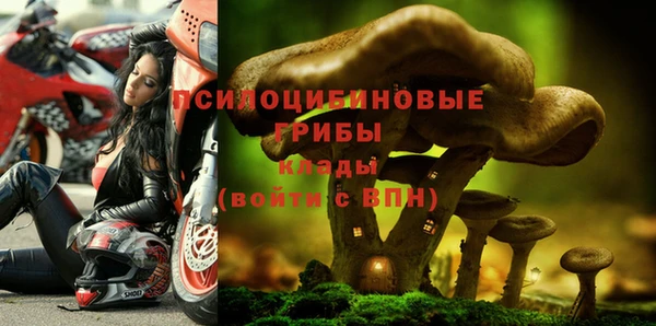 PSILOCYBIN Алзамай