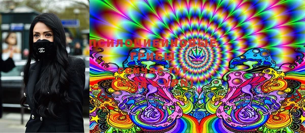 PSILOCYBIN Алзамай