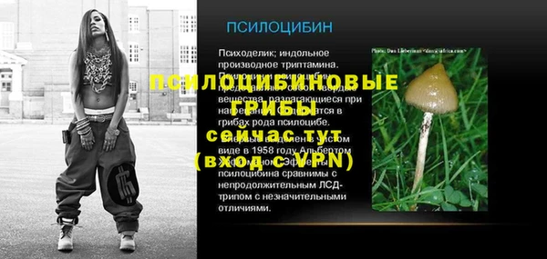 мескалин Алексин