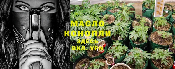 PSILOCYBIN Алзамай