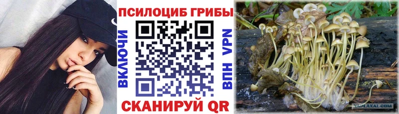 Псилоцибиновые грибы GOLDEN TEACHER  OMG ONION  Сочи 