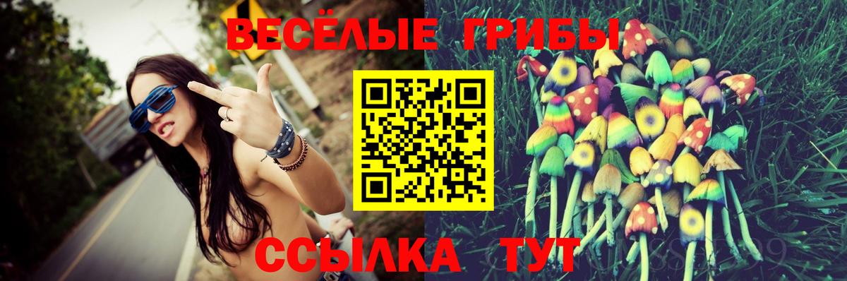 Сочи  Галлюциногенные грибы Magic Shrooms  Вход с VPN  Галлюциногенные грибы мухоморы 